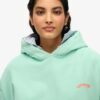 Bluza z kapturem Essential Logo Bluza z kapturem Essential Logo