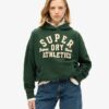 Bluza z kapturem z aplikacją Athletic Essentials Bluza z kapturem z aplikacją Athletic Essentials