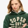 Bluza z kapturem z aplikacją Athletic Essentials Bluza z kapturem z aplikacją Athletic Essentials