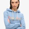 Bluza z kapturem z nadrukiem tęczowego logo Bluza z kapturem z nadrukiem tęczowego logo