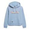 Bluza z kapturem z nadrukiem tęczowego logo Bluza z kapturem z nadrukiem tęczowego logo