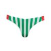 Pasiaste figi bikini