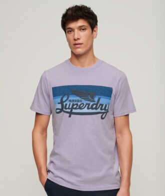 T-shirt z logo Cali w paski