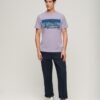 T-shirt z logo Cali w paski