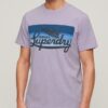 T-shirt z logo Cali w paski