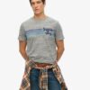 T-shirt z logo Terrain w paski T-shirt z logo Terrain w paski