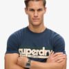 T-shirt z logo Terrain w paski