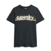 T-shirt z logo Terrain w paski